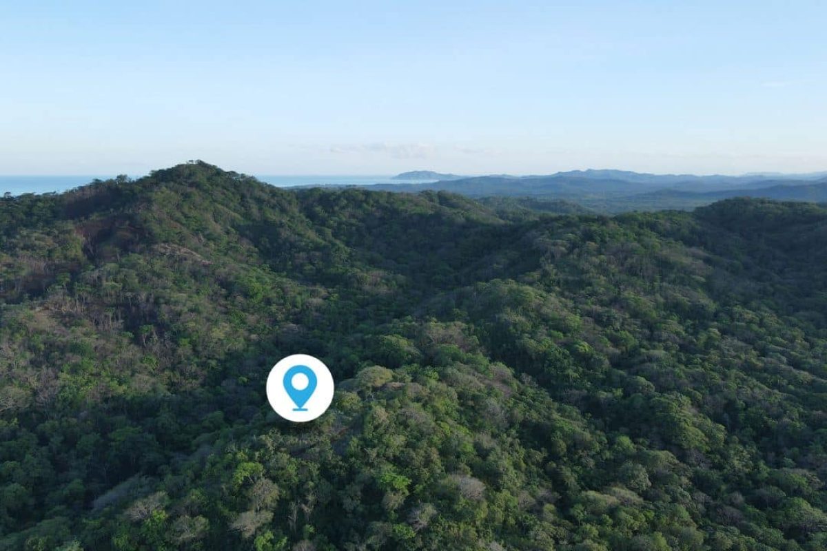 Jungle-Sanctuary-pin-1240x720