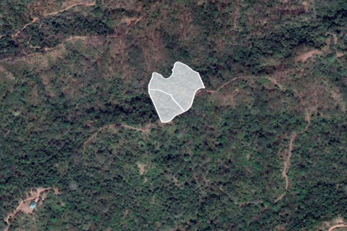 Jungle-Sanctuary15-1240x720 (1)