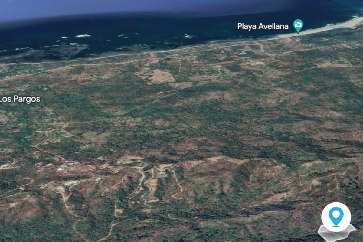 Jungle-Sanctuary19-1240x720