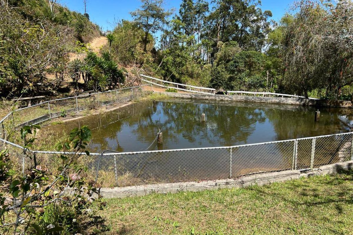 LAGO