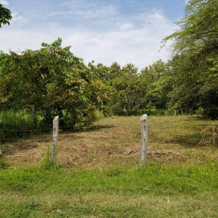 Lote Costa Rica ON SALE