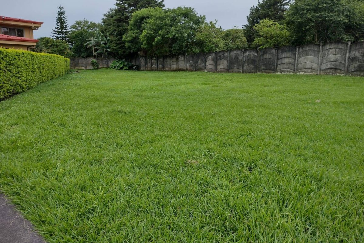 Lote San Lorenzo 2-f8c9c0f7