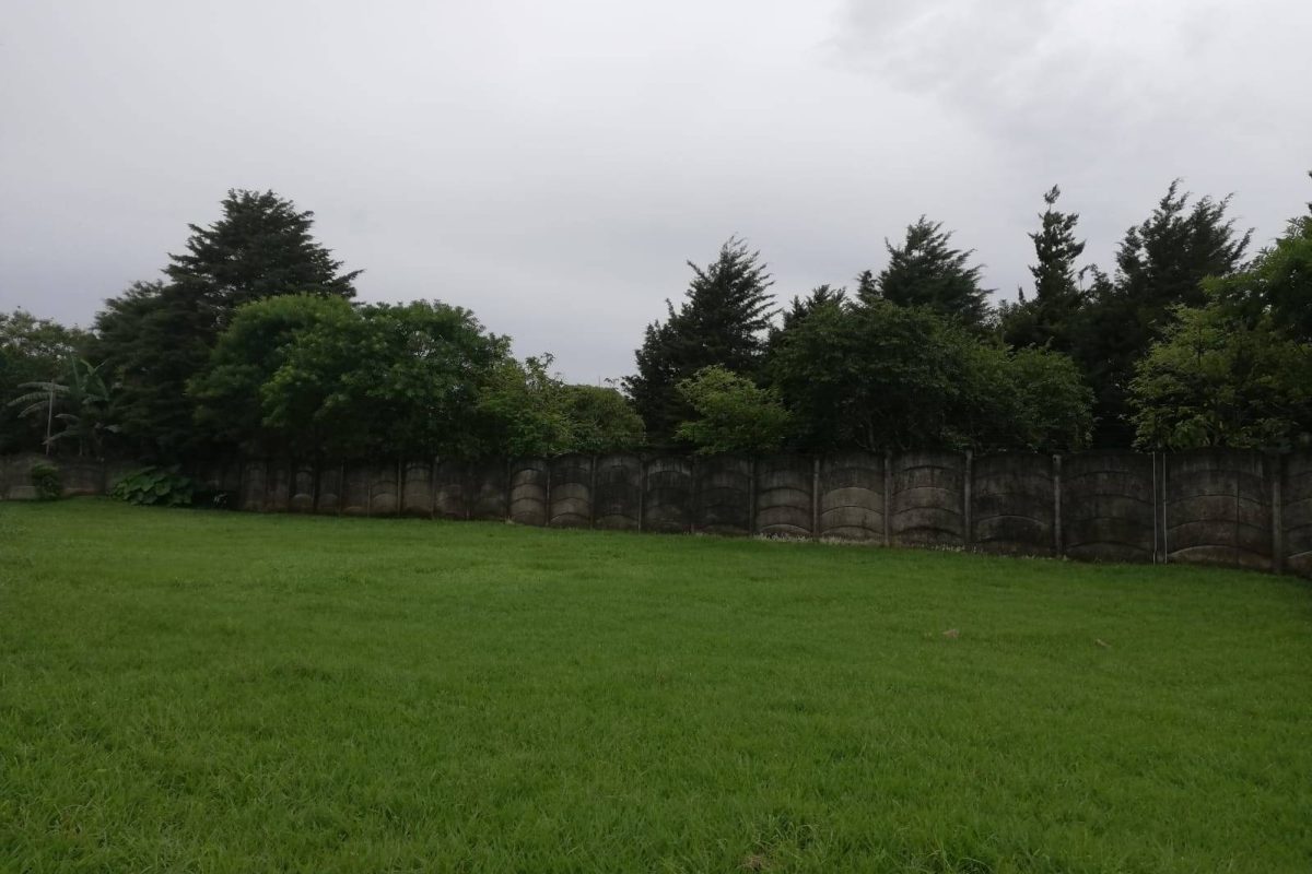 Lote San Lorenzo 5-2fff32f7