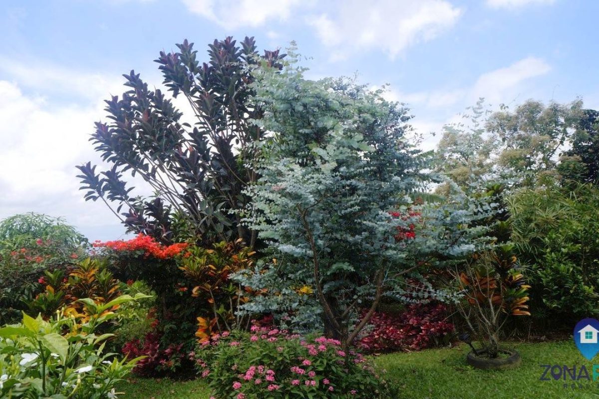 Lote Santa barbara _40