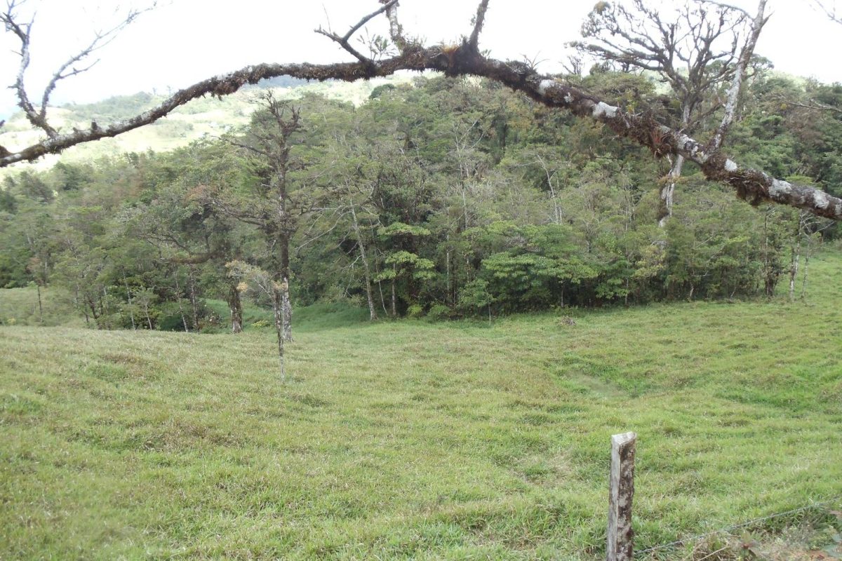 Lote en Venta Zapotal Barato 10