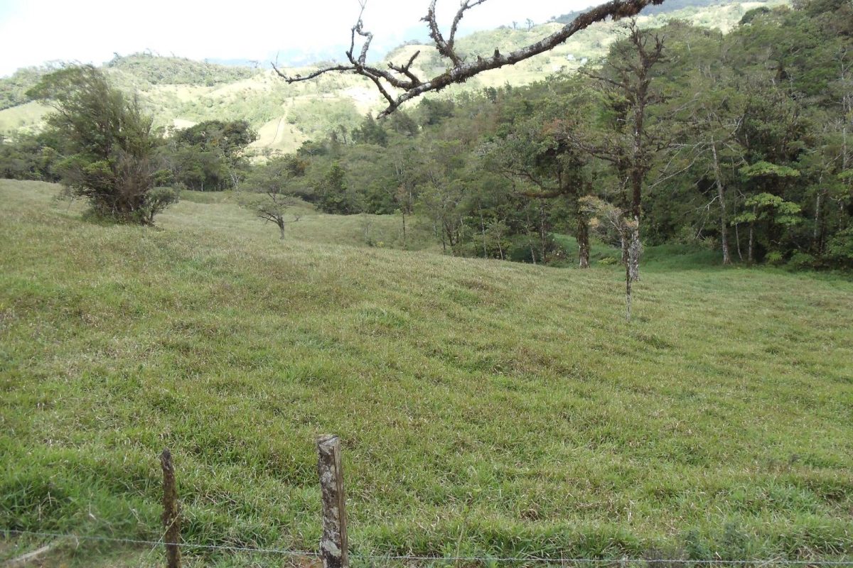 Lote en Venta Zapotal Barato 11