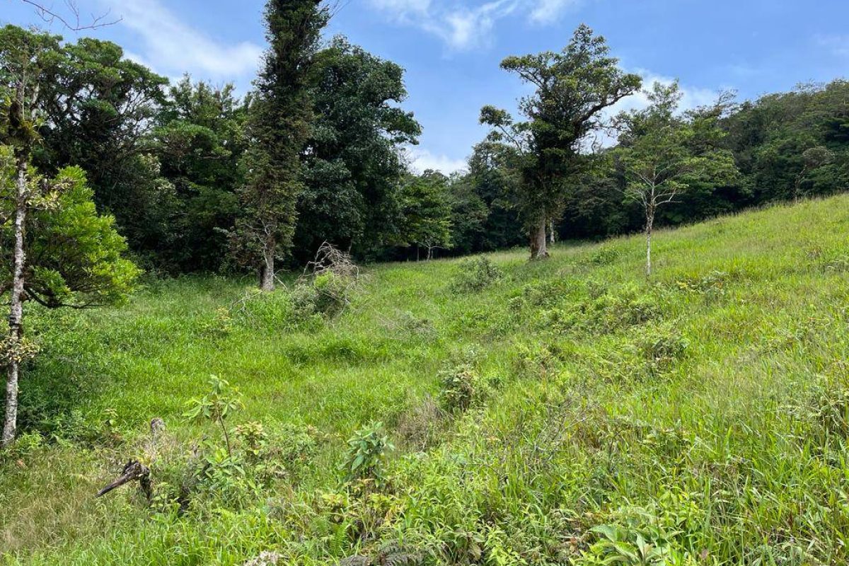 Lote en Venta Zapotal Barato 12