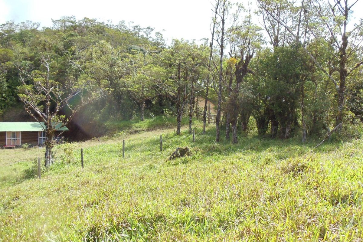 Lote en Venta Zapotal Barato 6