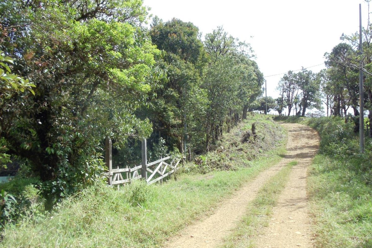 Lote en Venta Zapotal Barato 7