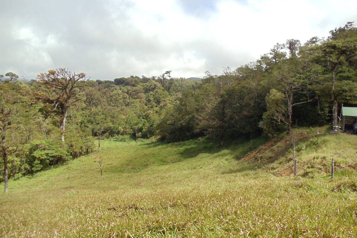 Lote en Venta Zapotal Barato 8