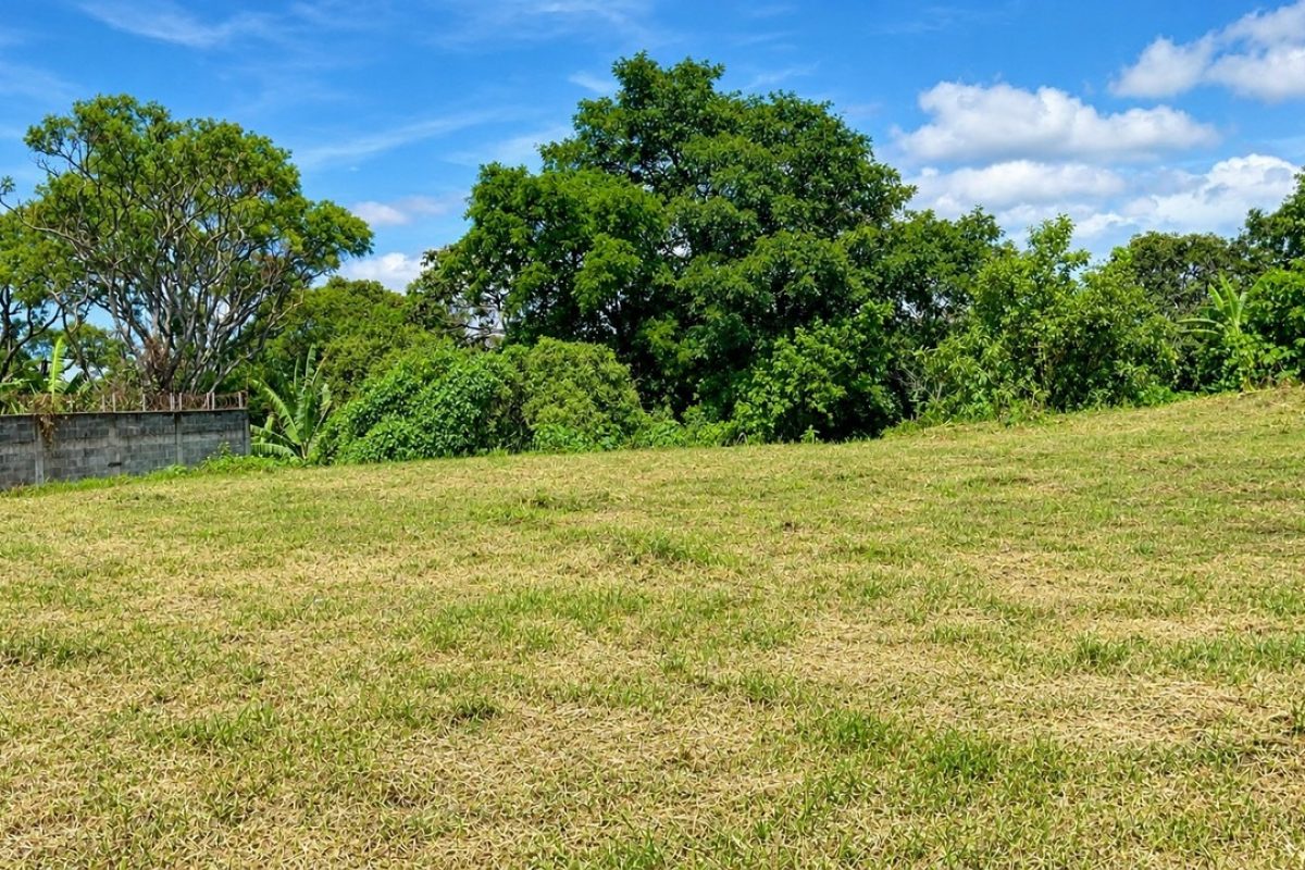 Lote-en-venta-Mercedes-sur_2