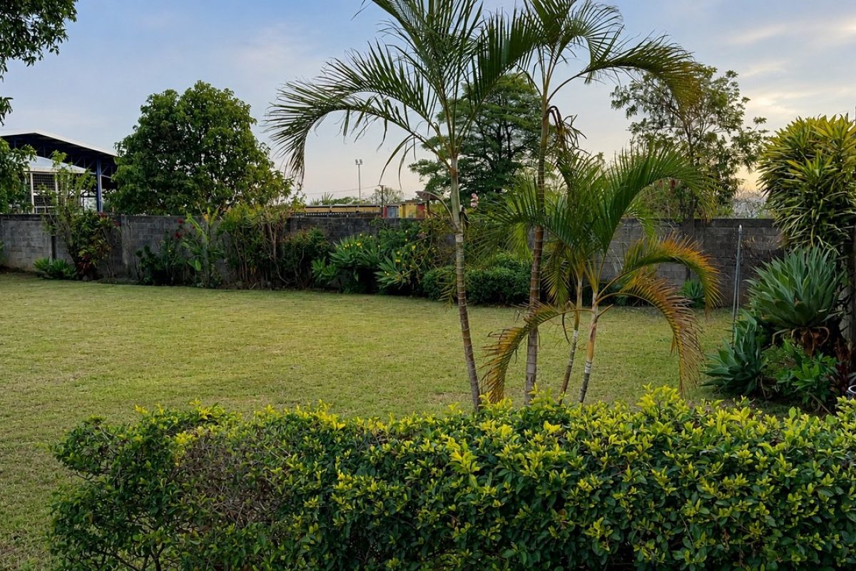 Lote-en-venta-en-San-joaquin-de-Flores-1