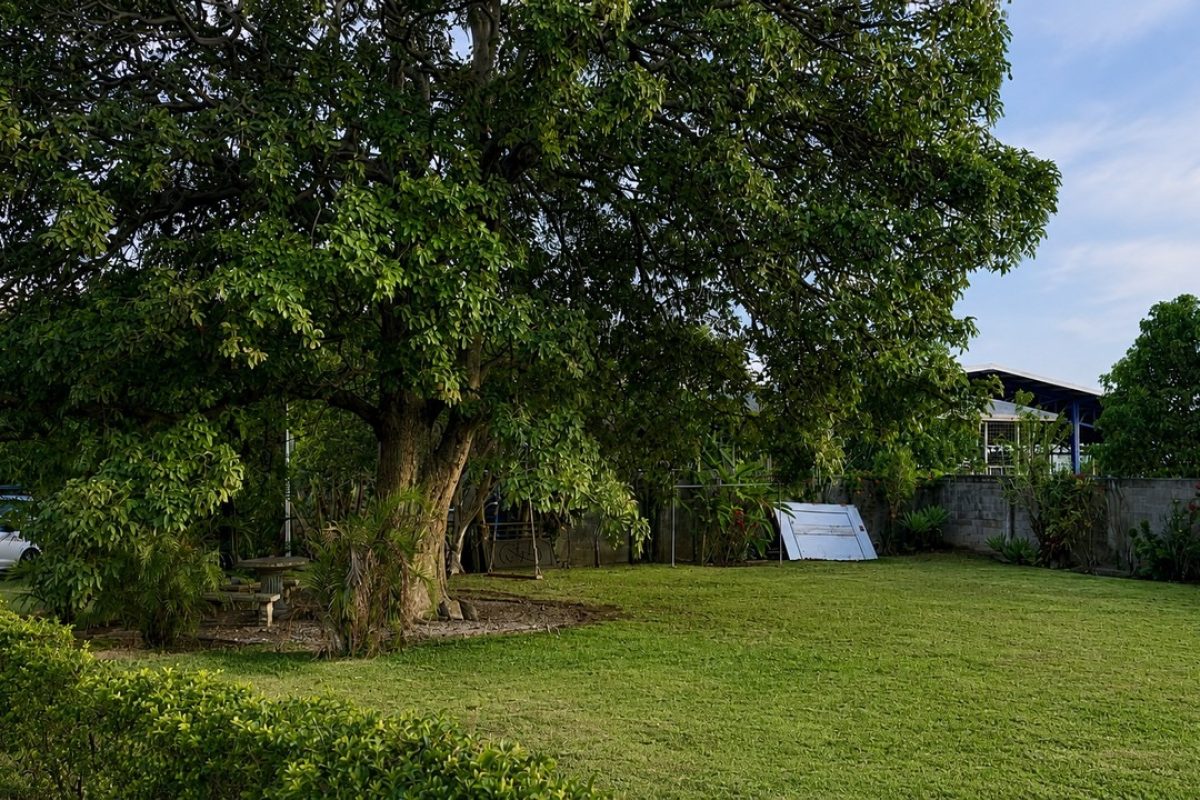 Lote-en-venta-en-San-joaquin-de-Flores_3-1