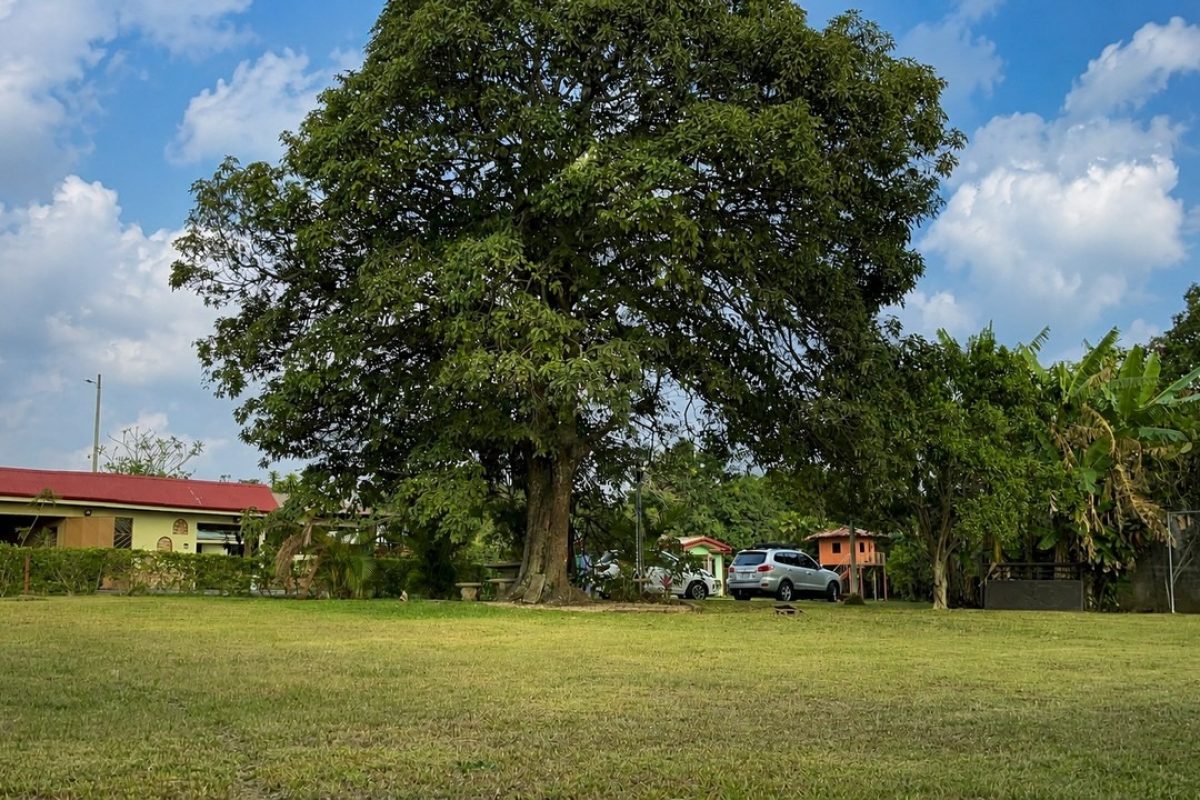 Lote-en-venta-en-San-joaquin-de-Flores_5-1