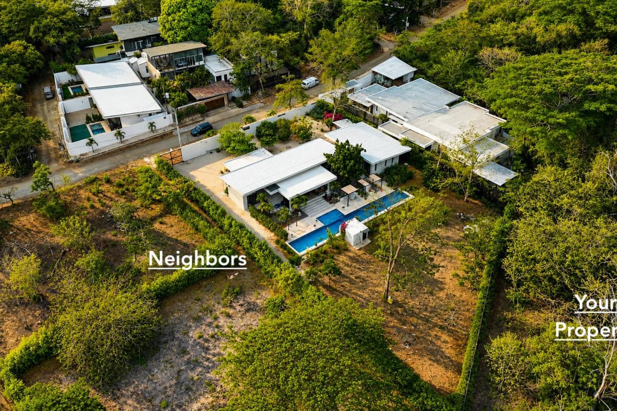 Neighbors