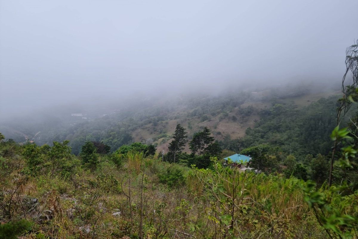 PAISAJE 1