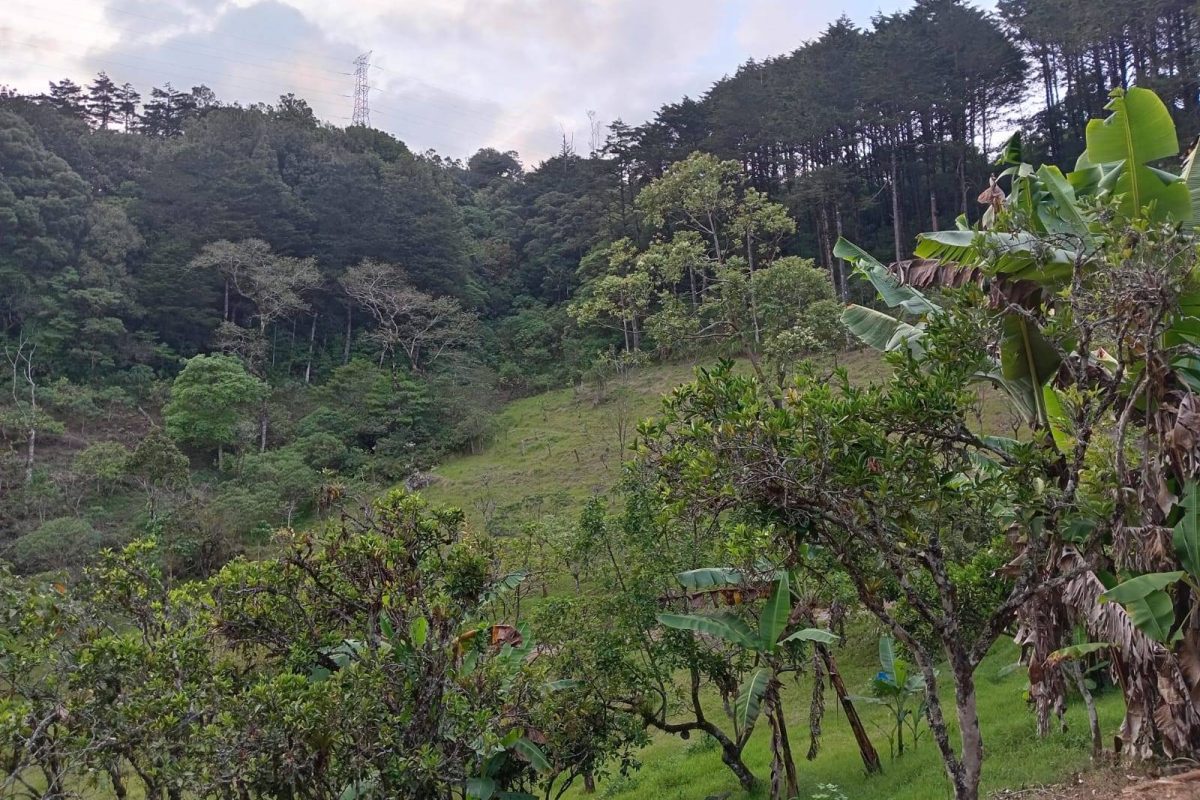 PAISAJE 4