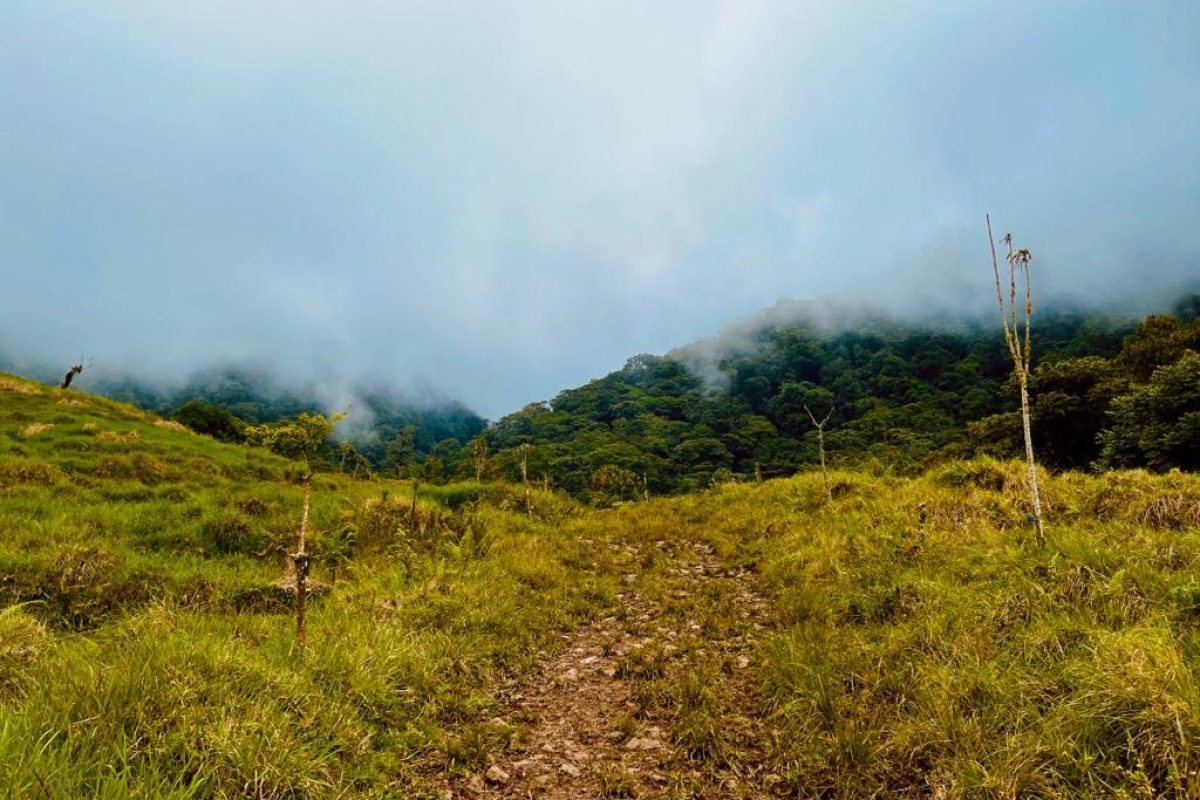 PHOTO-2021-08-17-10-10-20 10-c98f6ec5