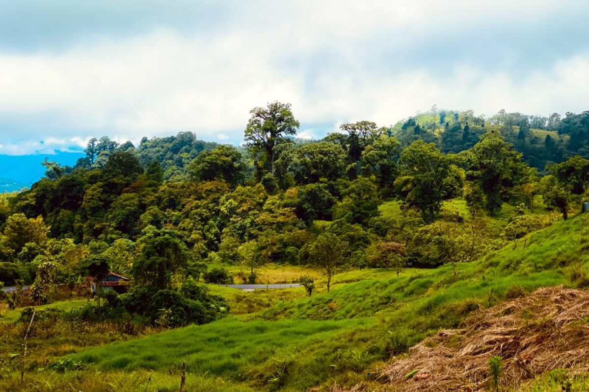 PHOTO-2021-08-17-10-10-20 2-b01163e1