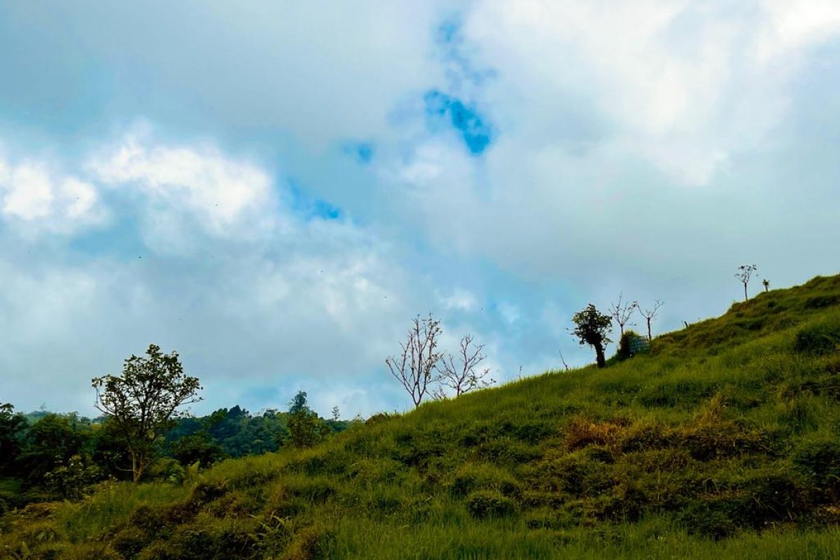 PHOTO-2021-08-17-10-10-20 4-9a5a1e91