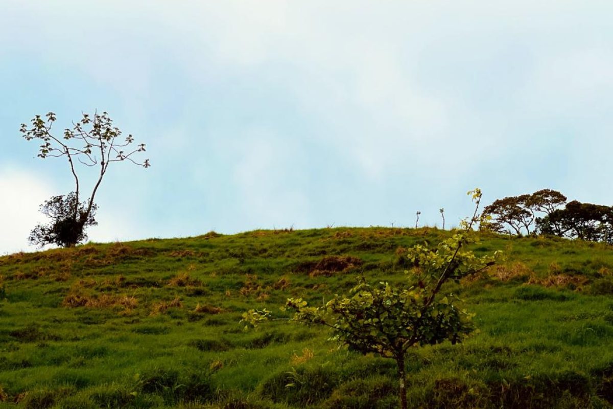 PHOTO-2021-08-17-10-10-20-b3367c41