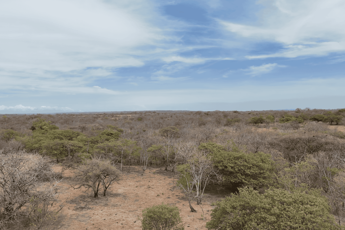 Property-View-2