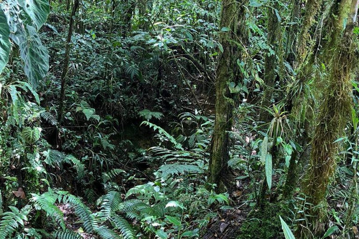 Propiedad en Venta Zapotal Vende propiedad 3