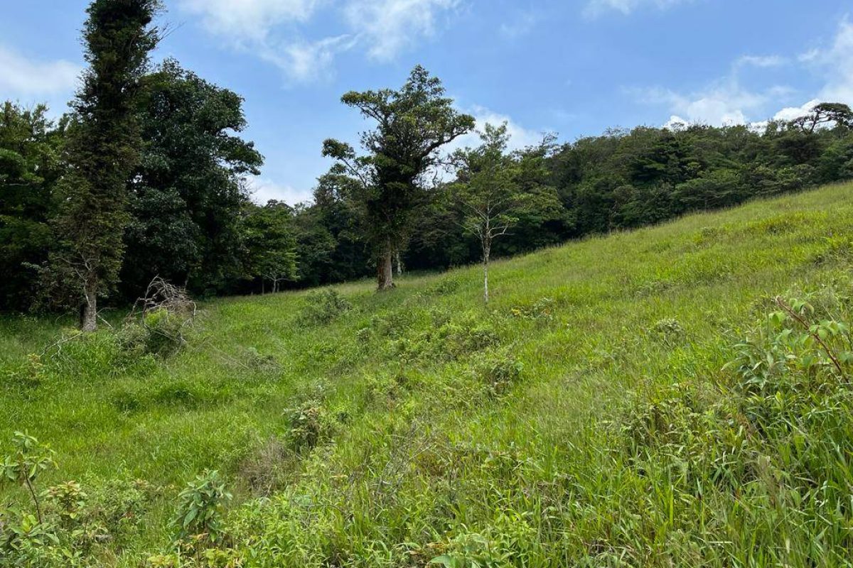 Propiedad en Venta Zapotal Vende propiedad 4