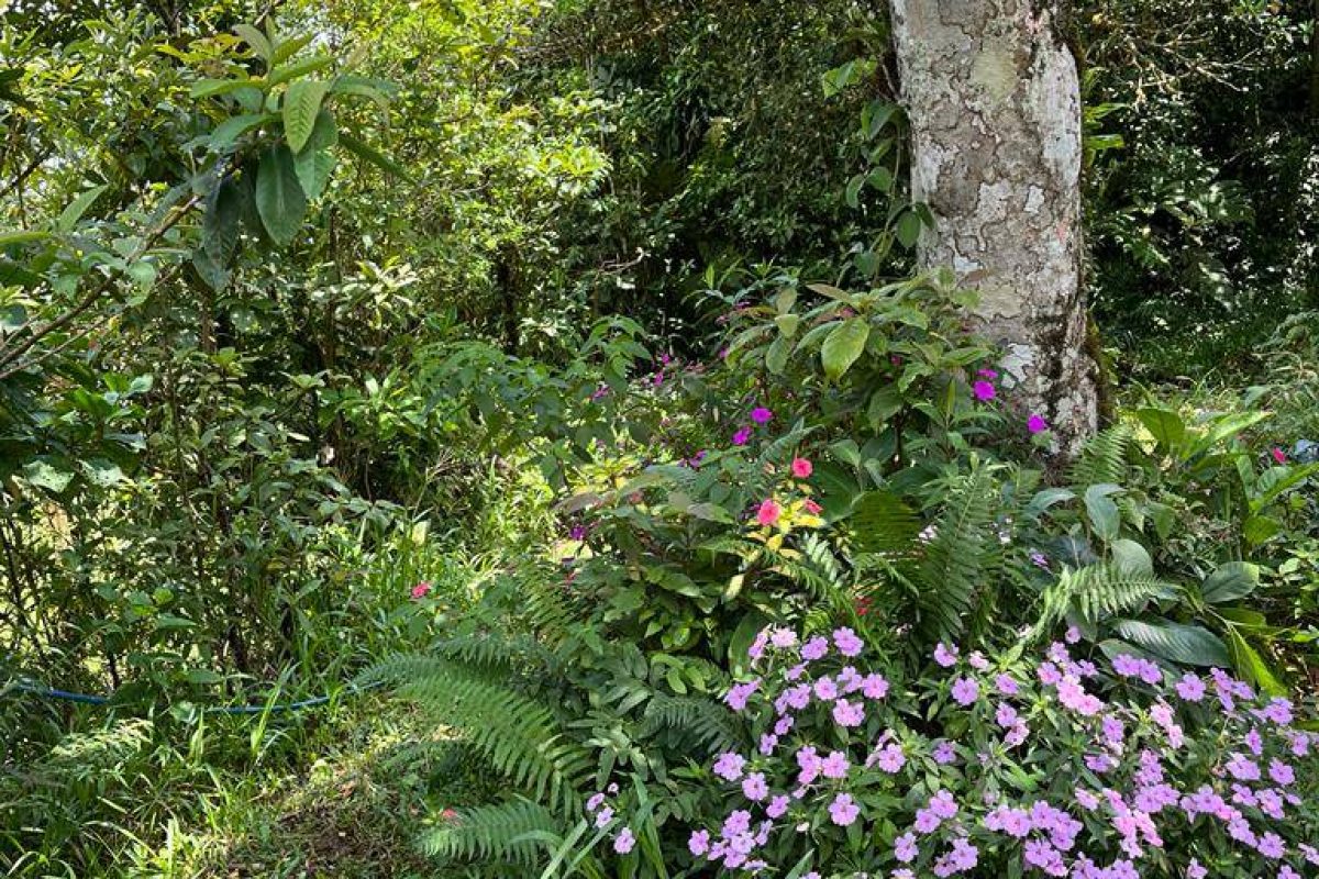 Propiedad en Venta Zapotal Vende propiedad 5