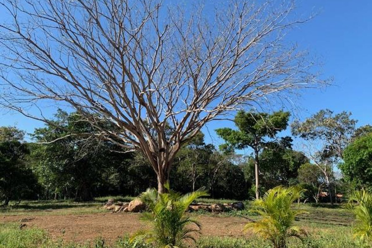 QUINTAS EN VENTA EN MIRAMAR DE PUNTARENAS (10)