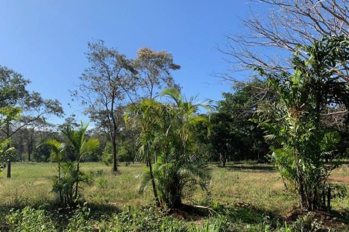 QUINTAS EN VENTA EN MIRAMAR DE PUNTARENAS (11)