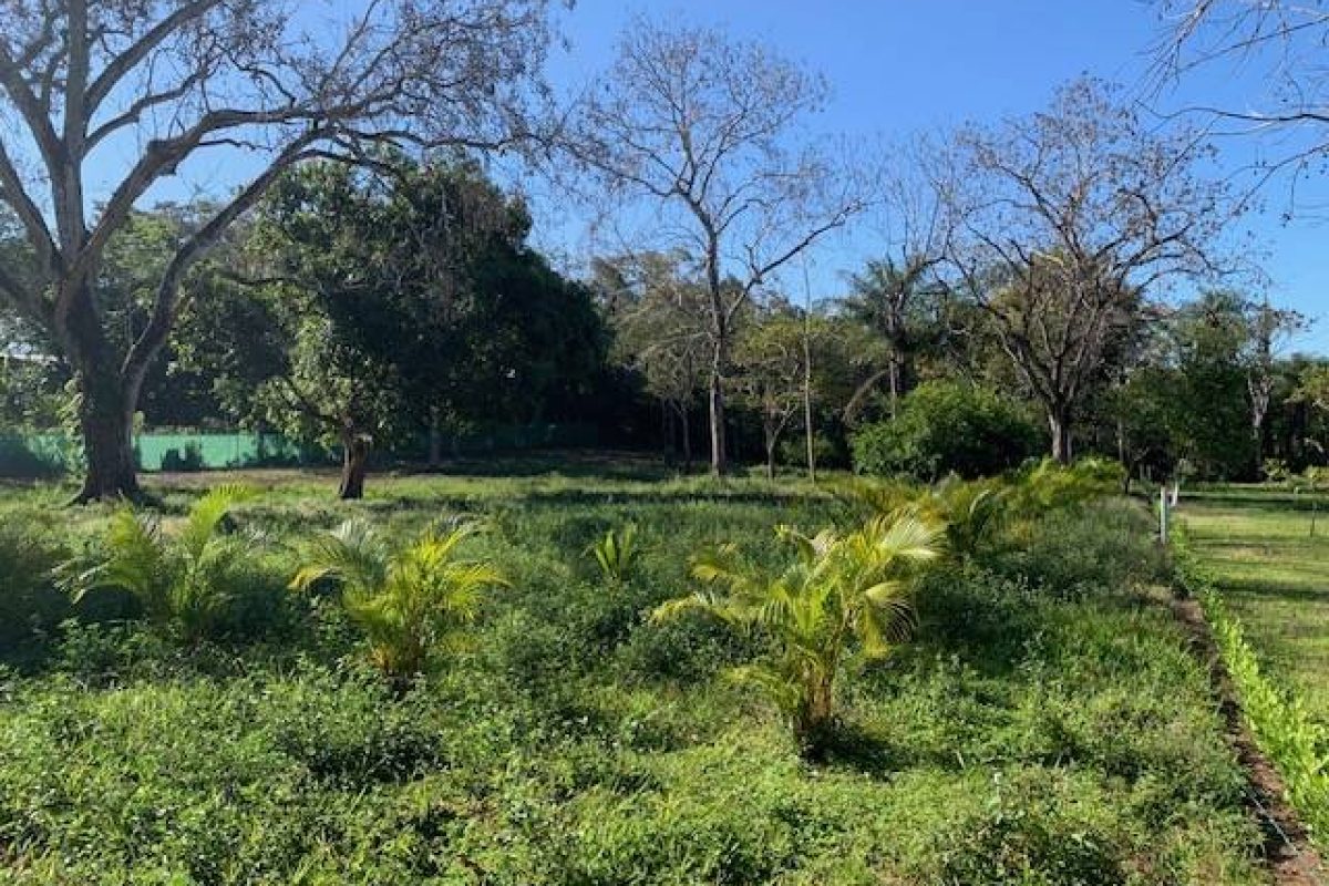 QUINTAS EN VENTA EN MIRAMAR DE PUNTARENAS (15)