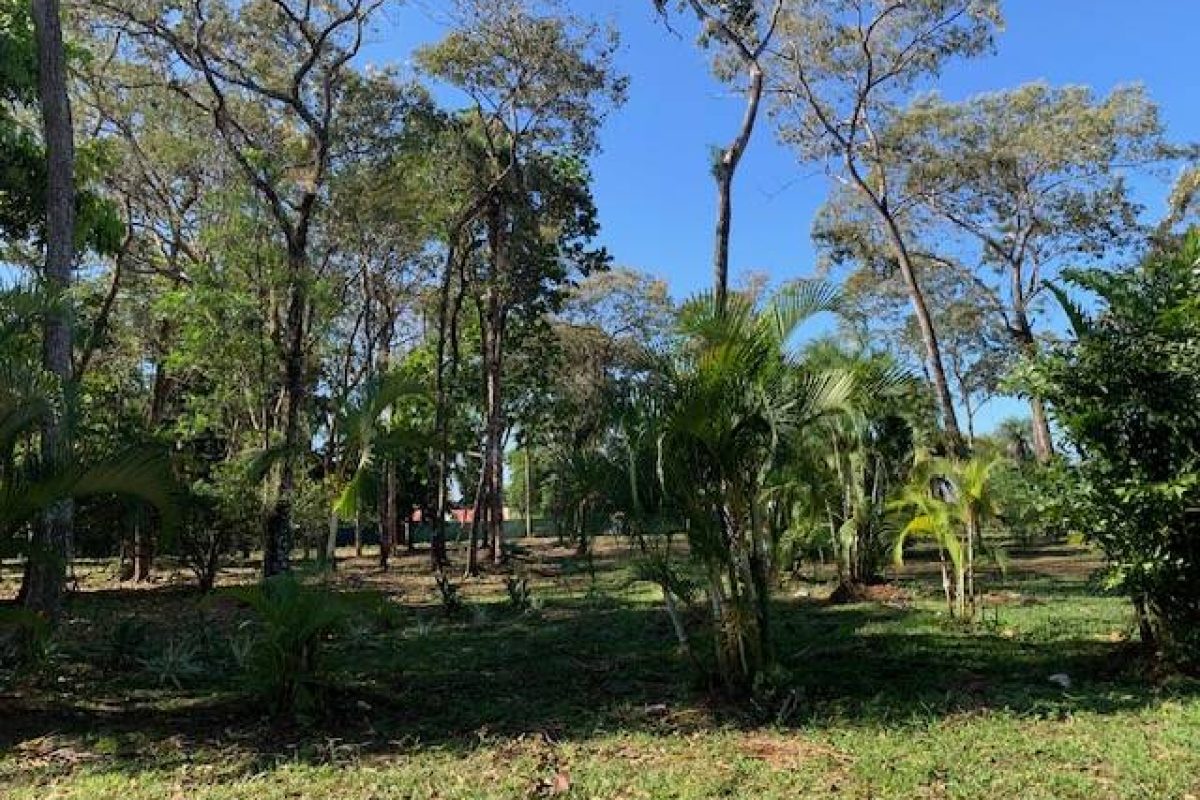 QUINTAS EN VENTA EN MIRAMAR DE PUNTARENAS (7)