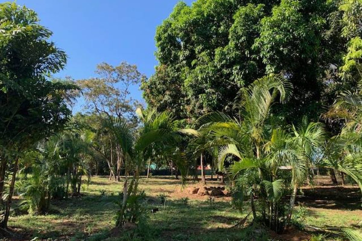 QUINTAS EN VENTA EN MIRAMAR DE PUNTARENAS (8)
