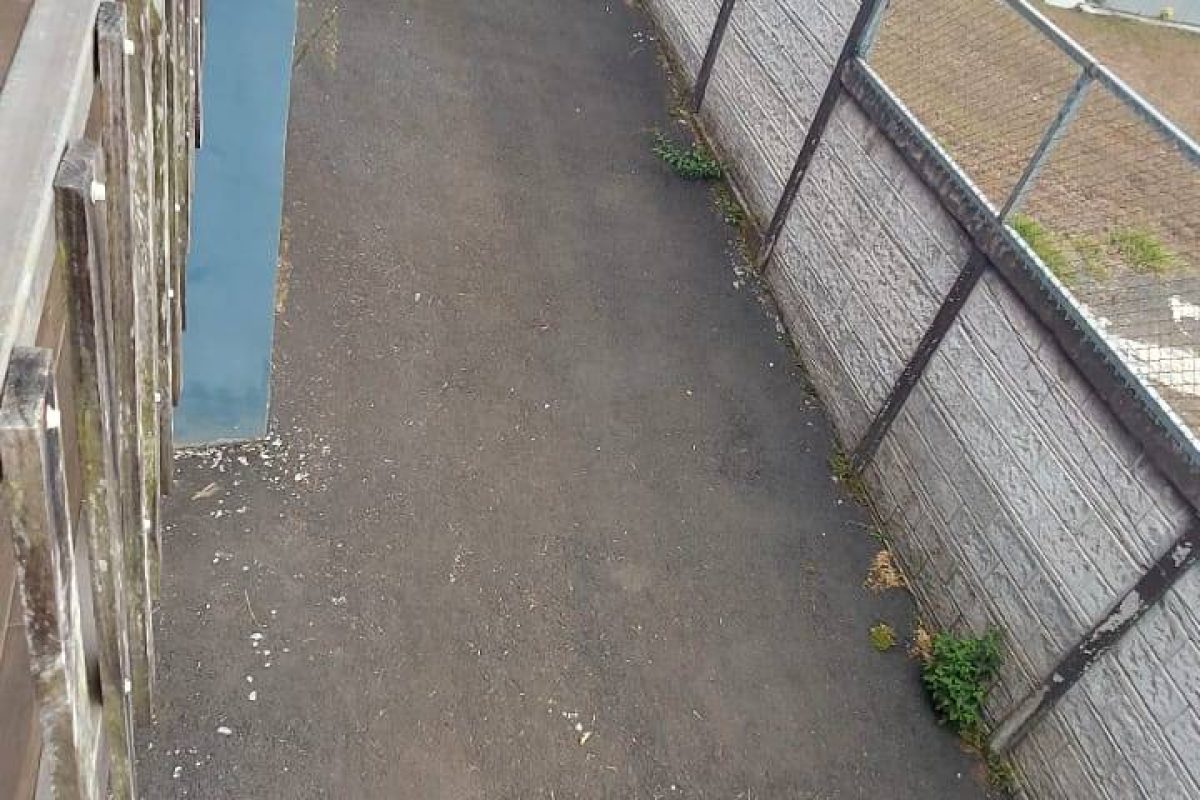 Real Estate Alexander Concepción San Ramón (15)