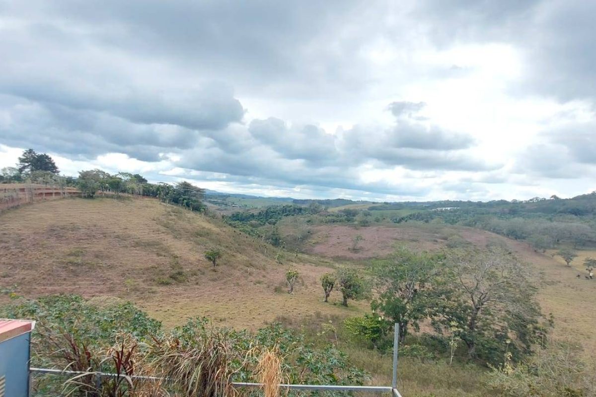 Real Estate Alexander Concepción San Ramón (16)