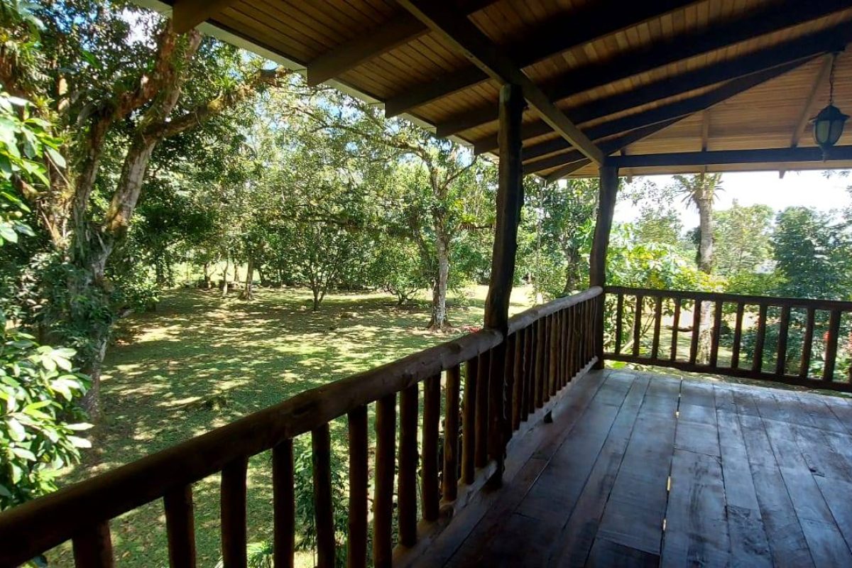 Real  Estate Alexander Platanar San Carlos (11)