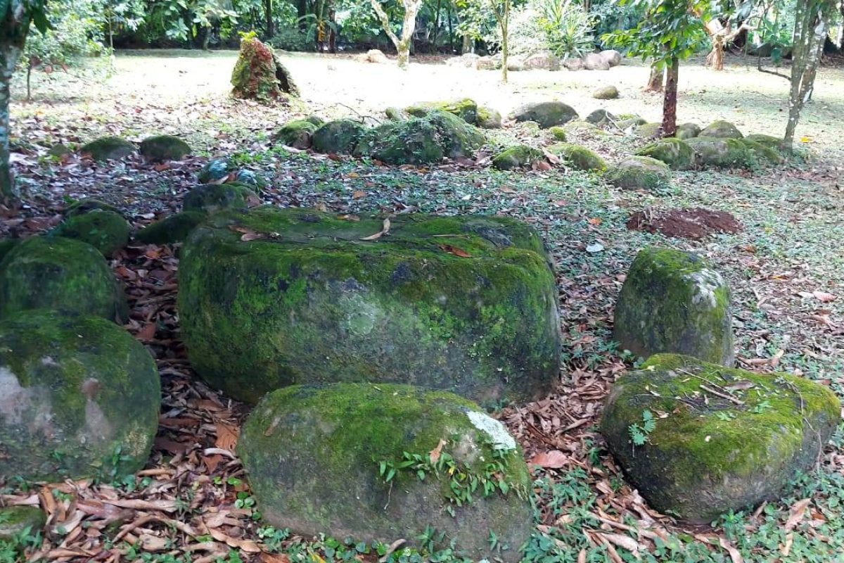 Real  Estate Alexander Platanar San Carlos (12)