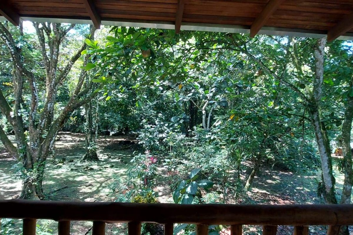 Real  Estate Alexander Platanar San Carlos (13)