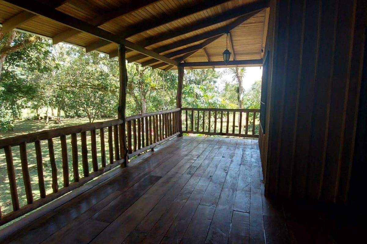 Real  Estate Alexander Platanar San Carlos (14)