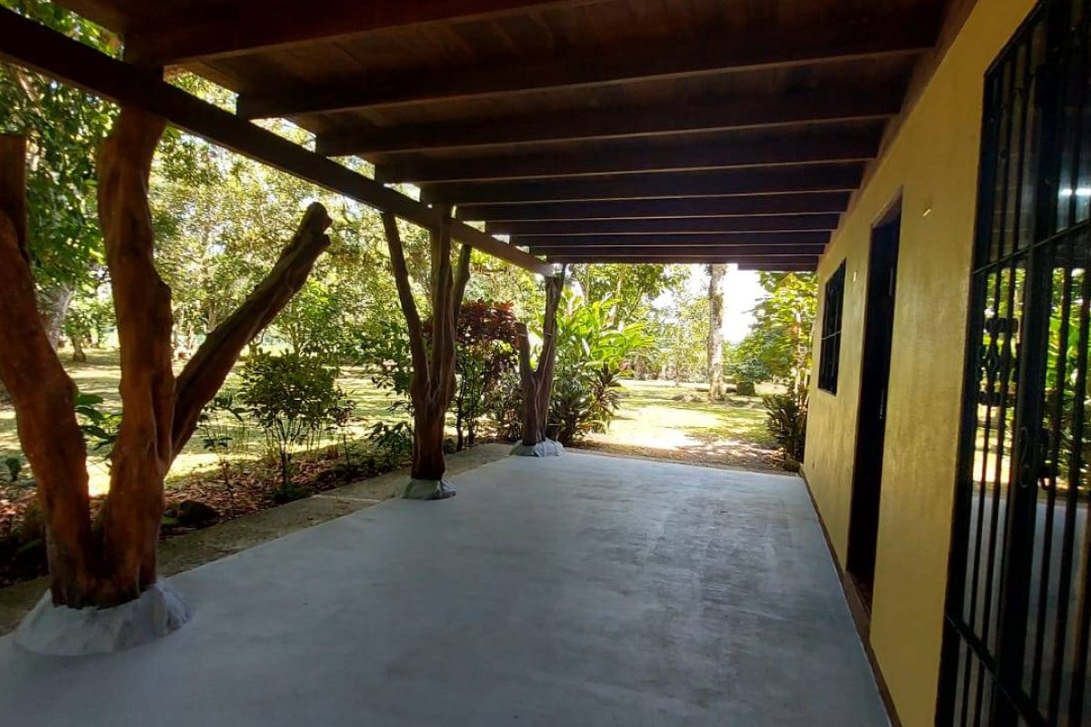 Real  Estate Alexander Platanar San Carlos (3)