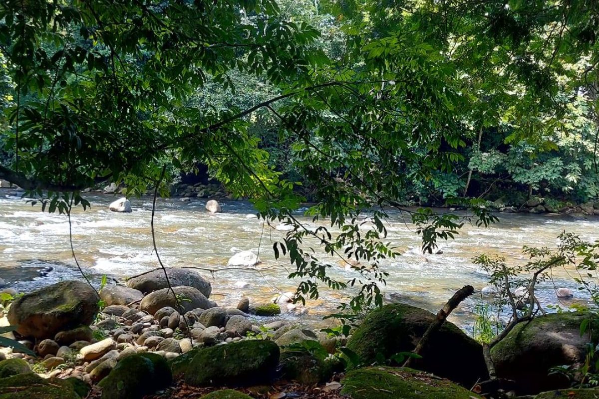 Real  Estate Alexander Platanar San Carlos (4)