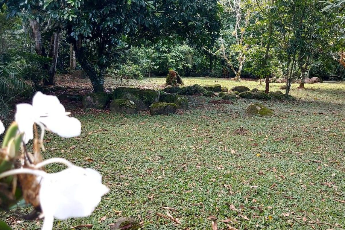 Real  Estate Alexander Platanar San Carlos (7)