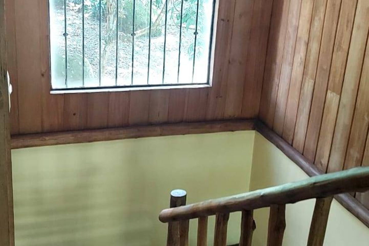 Real  Estate Alexander Platanar San Carlos (8)