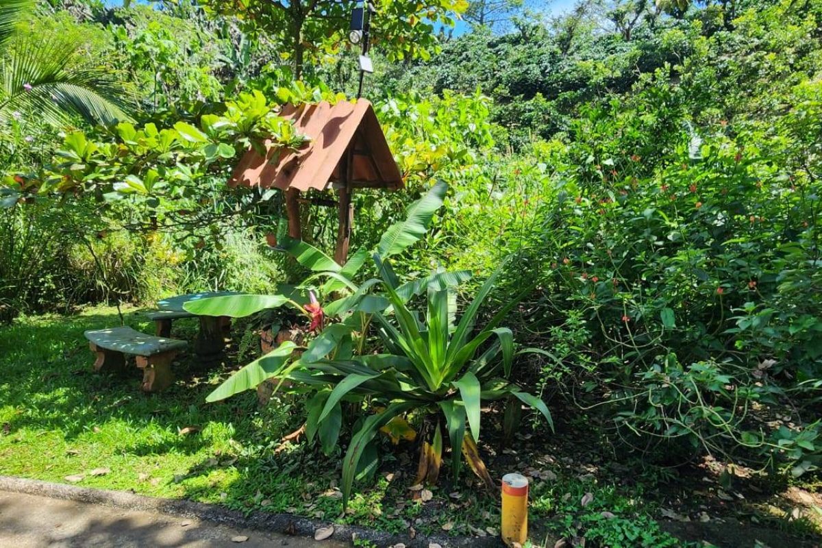 Real-Estate-Cabana-Patrcia-Sarchi-17