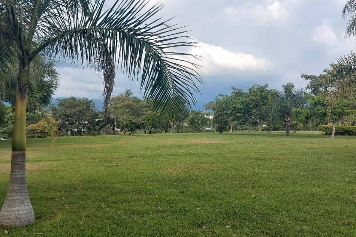 Real Estate Leonel Puente Piedra Grecia (2)