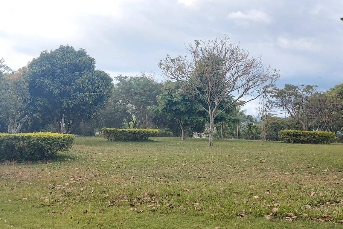 Real Estate Leonel Puente Piedra Grecia (3)