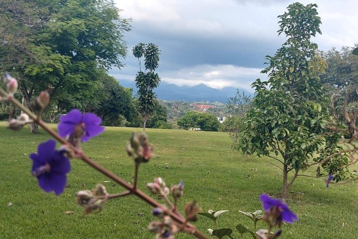 Real Estate Leonel Puente Piedra Grecia (5)