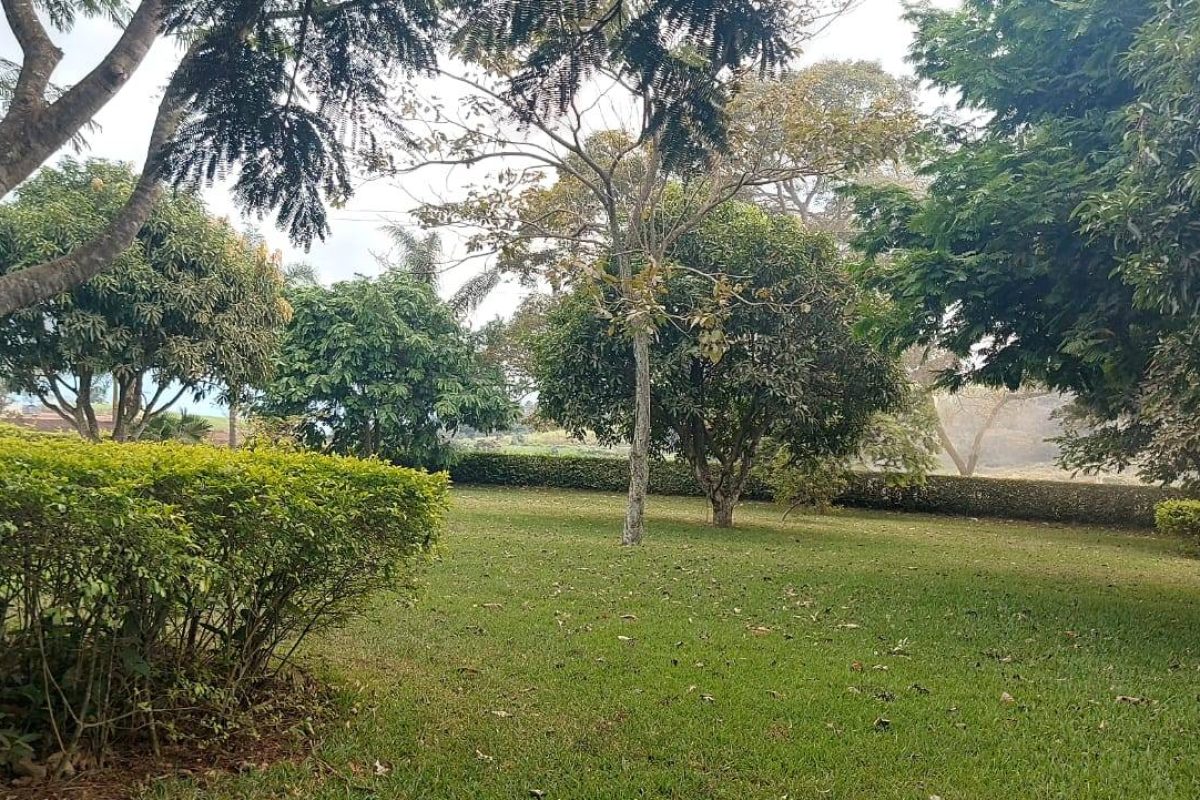 Real Estate Leonel Puente Piedra Grecia (6)