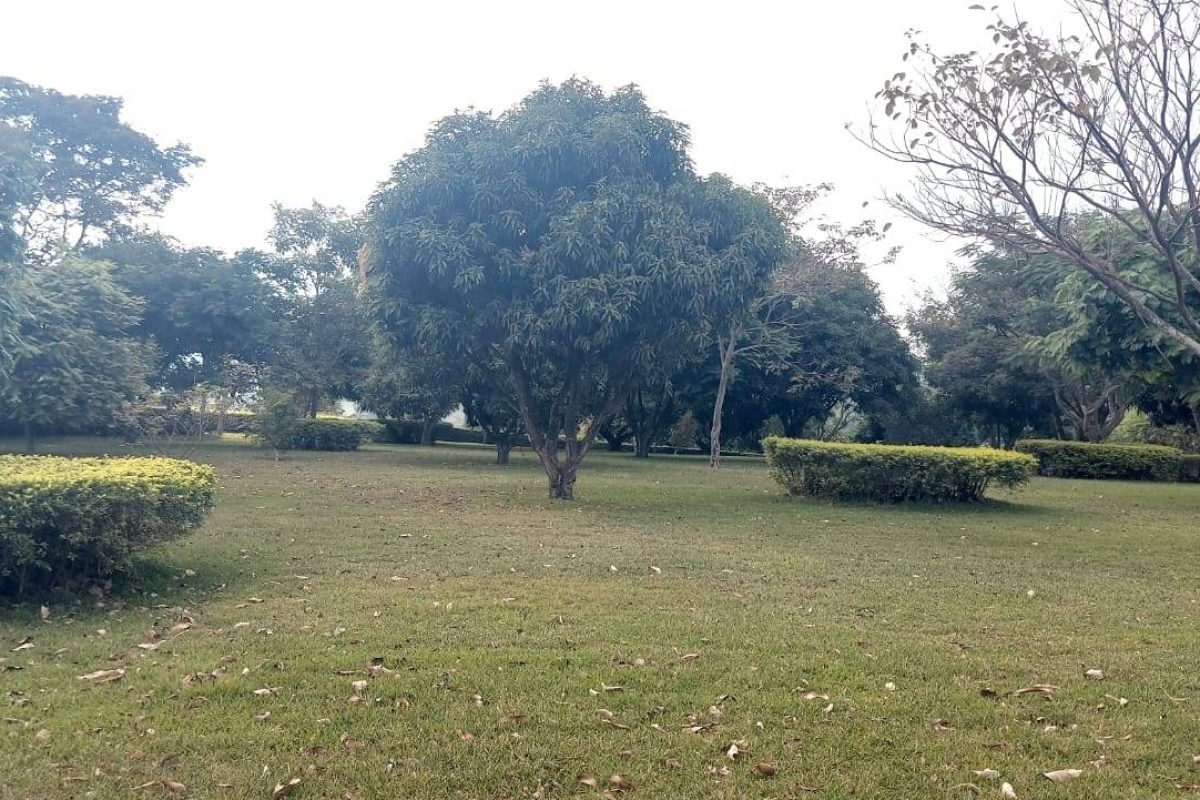 Real Estate Leonel Puente Piedra Grecia (7)